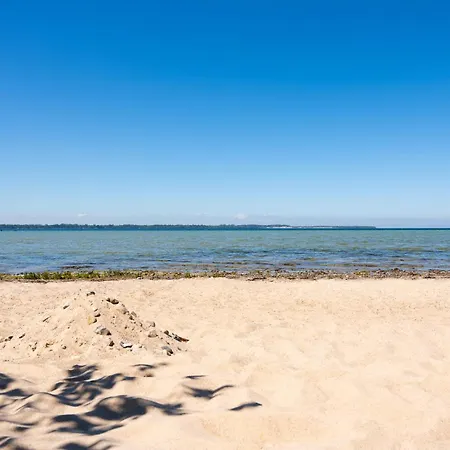 A 10 Reethaus Schwan *